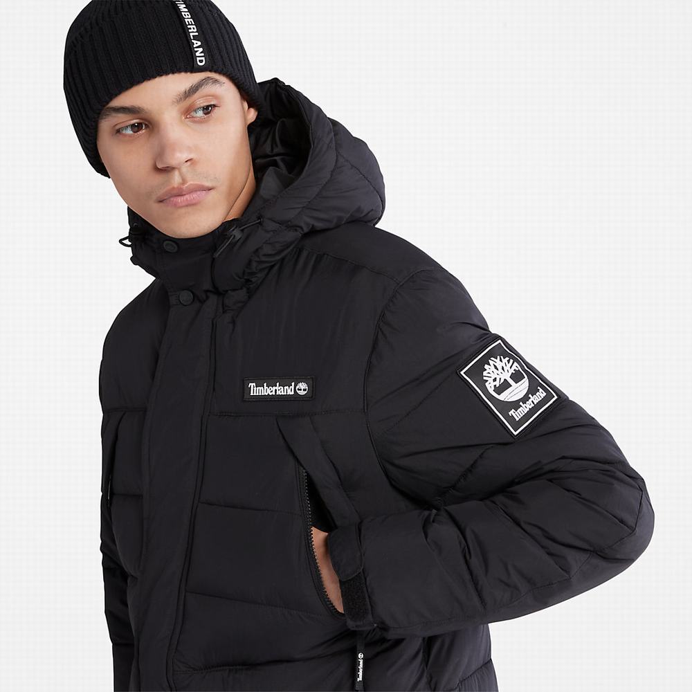 Timberland Outdoor Archive Puffer Ceket Erkek Siyah | TR-1608B