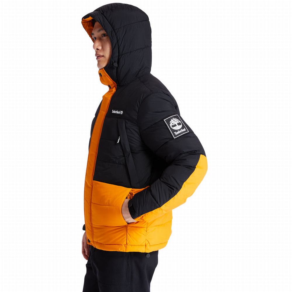 Timberland Outdoor Archive Puffer Ceket Erkek Siyah Turuncu | TR-2176X