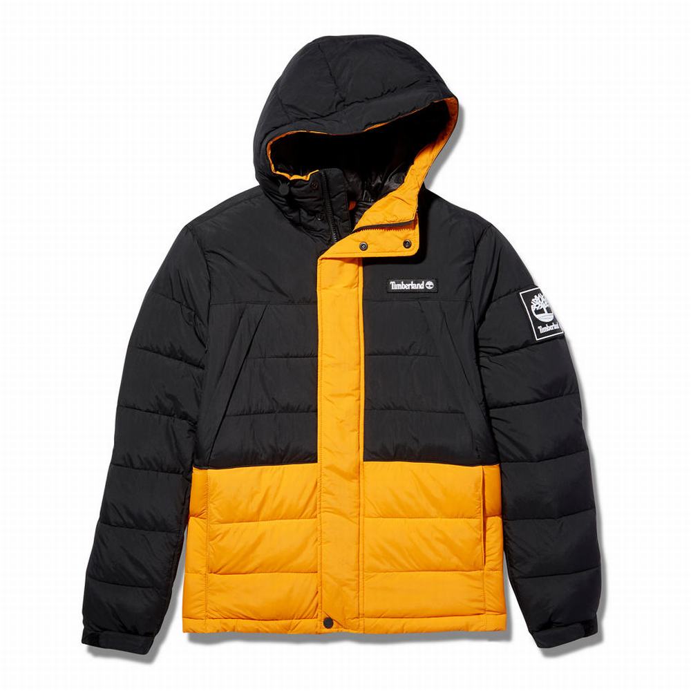 Timberland Outdoor Archive Puffer Ceket Erkek Siyah Turuncu | TR-2176X