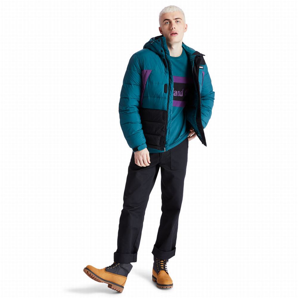 Timberland Outdoor Archive Puffer Ceket Erkek Turkuaz | TR-4359L