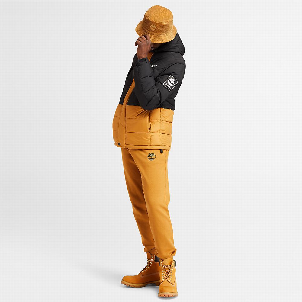 Timberland Outdoor Archive Puffer Ceket Erkek Sarı | TR-5698J