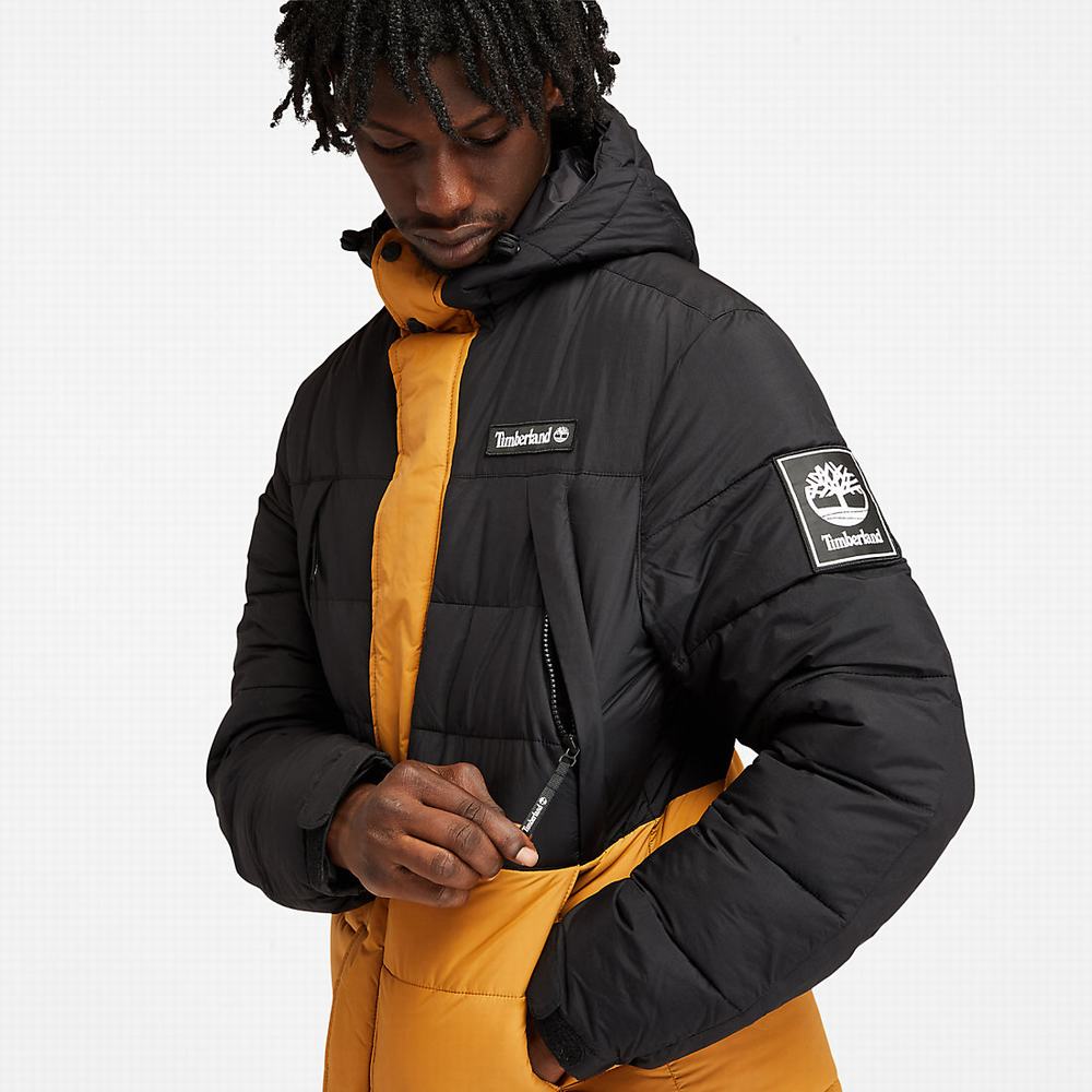 Timberland Outdoor Archive Puffer Ceket Erkek Sarı | TR-5698J