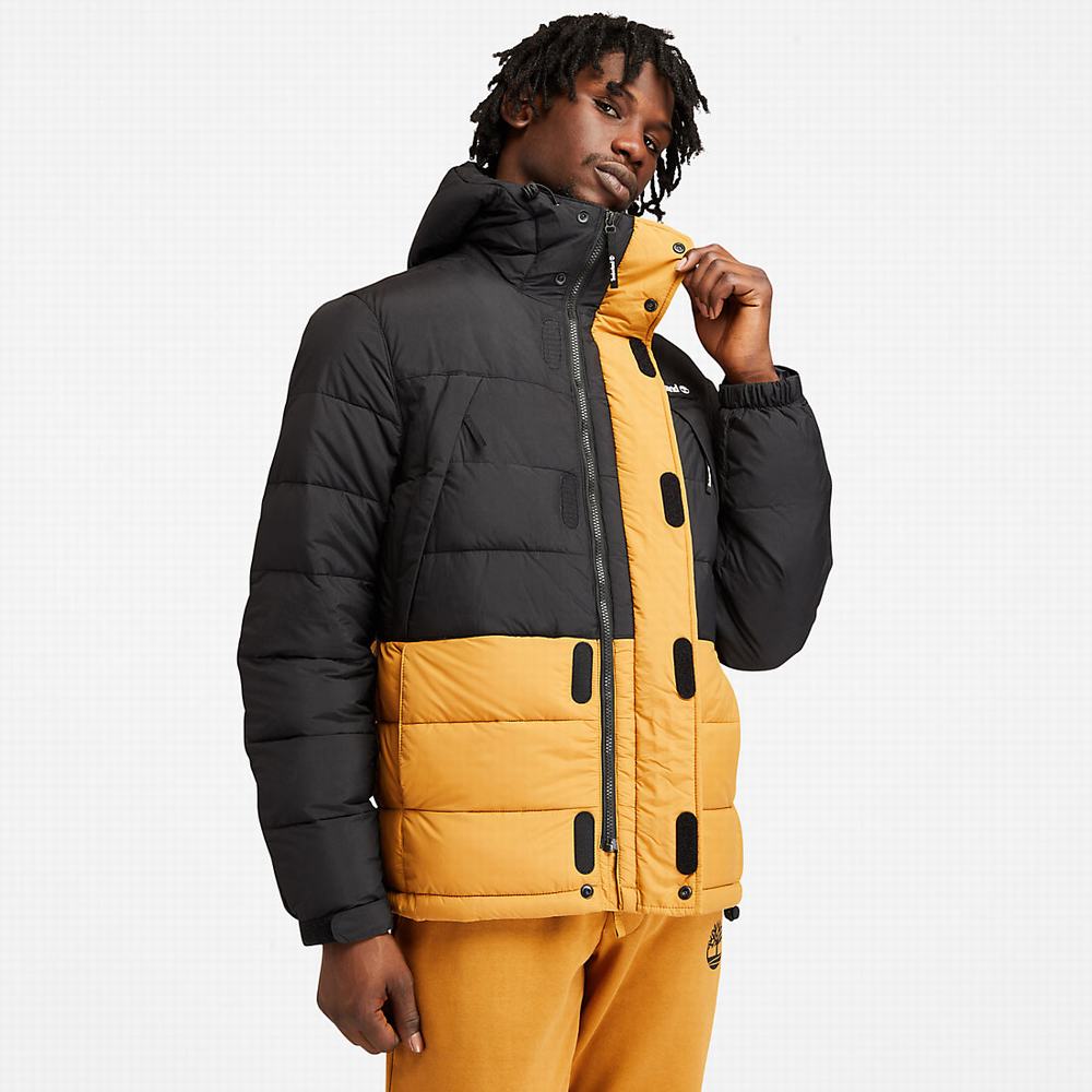 Timberland Outdoor Archive Puffer Ceket Erkek Sarı | TR-5698J