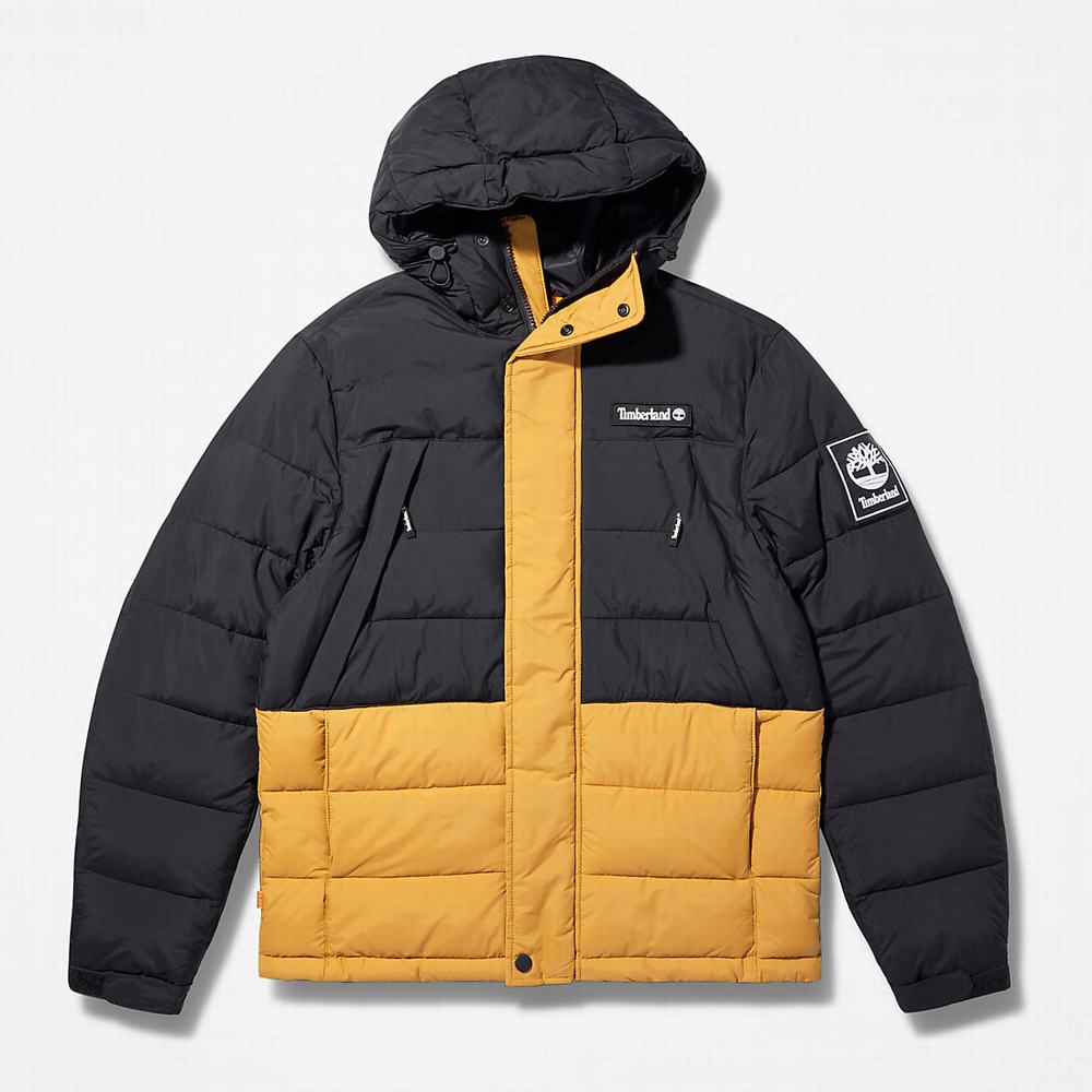 Timberland Outdoor Archive Puffer Ceket Erkek Sarı | TR-5698J