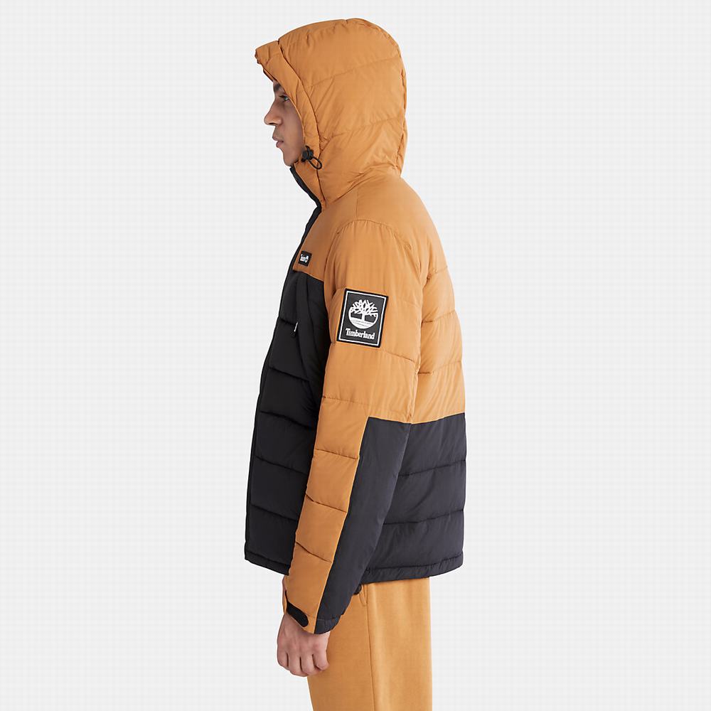 Timberland Outdoor Archive Su-Resistant Puffer Ceket Erkek Siyah | TR-9081X