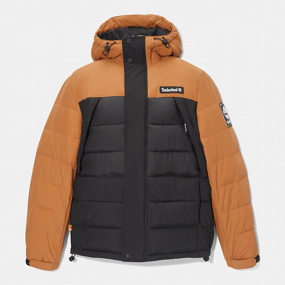 Timberland Outdoor Archive Su-Resistant Puffer Ceket Erkek Siyah | TR-9081X