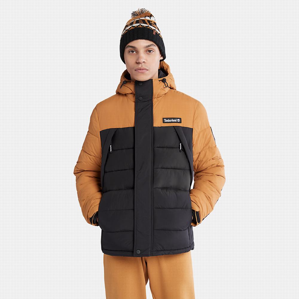 Timberland Outdoor Archive Su-Resistant Puffer Ceket Erkek Siyah | TR-9081X