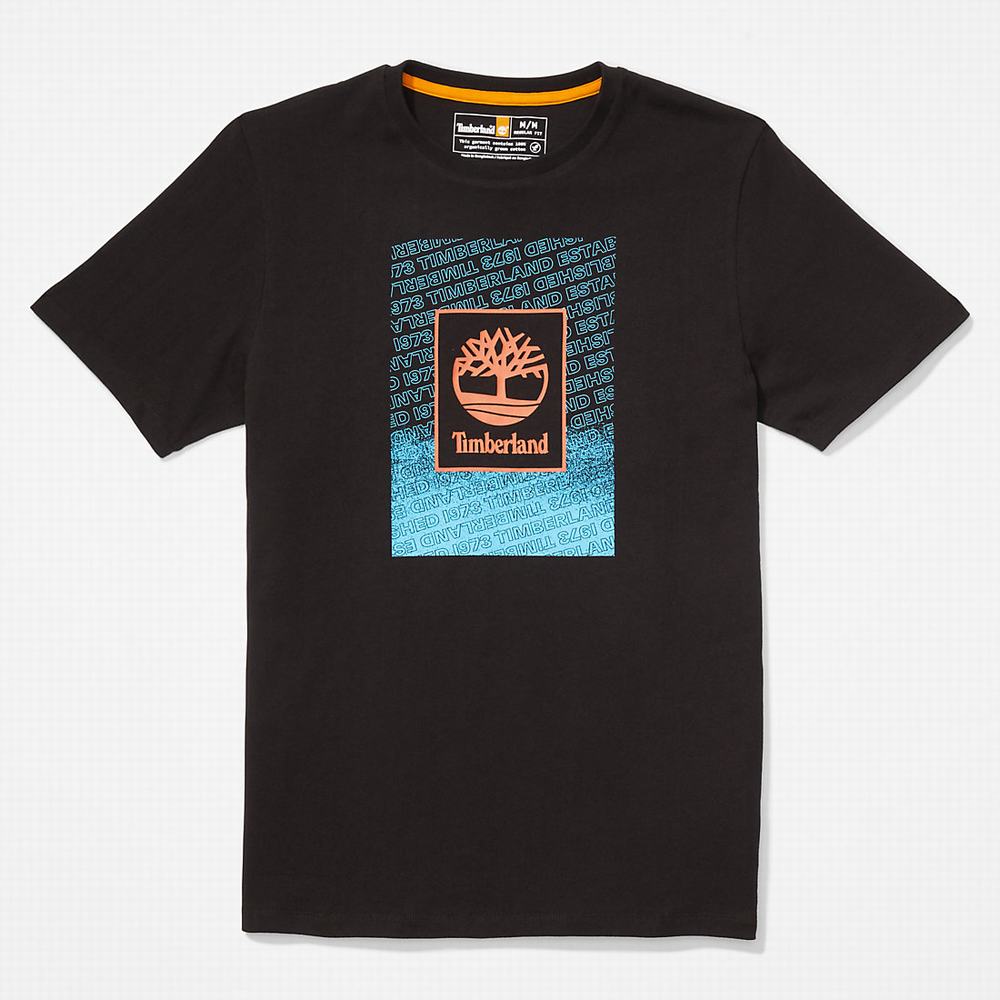 Timberland Outdoor Archive Tişört Erkek Siyah | TR-5821G