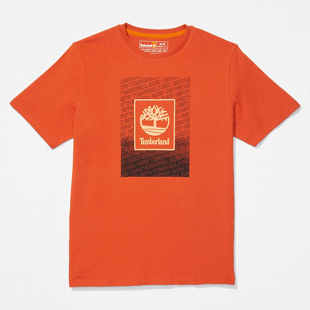 Timberland Outdoor Archive Tişört Erkek Turuncu | TR-8254F