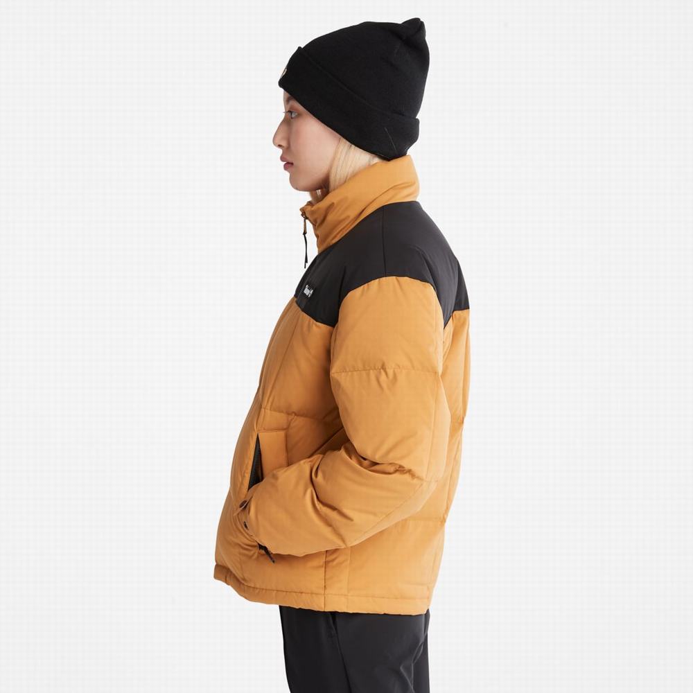 Timberland Oversize Re:Down® Insulation Puffer Ceket Kadın Kahverengi | TR-0183B