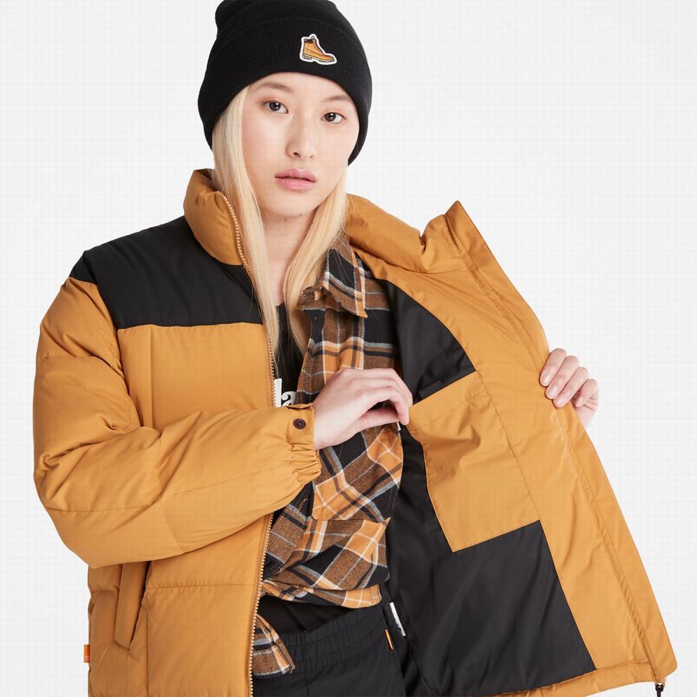 Timberland Oversize Re:Down® Insulation Puffer Ceket Kadın Kahverengi | TR-0183B
