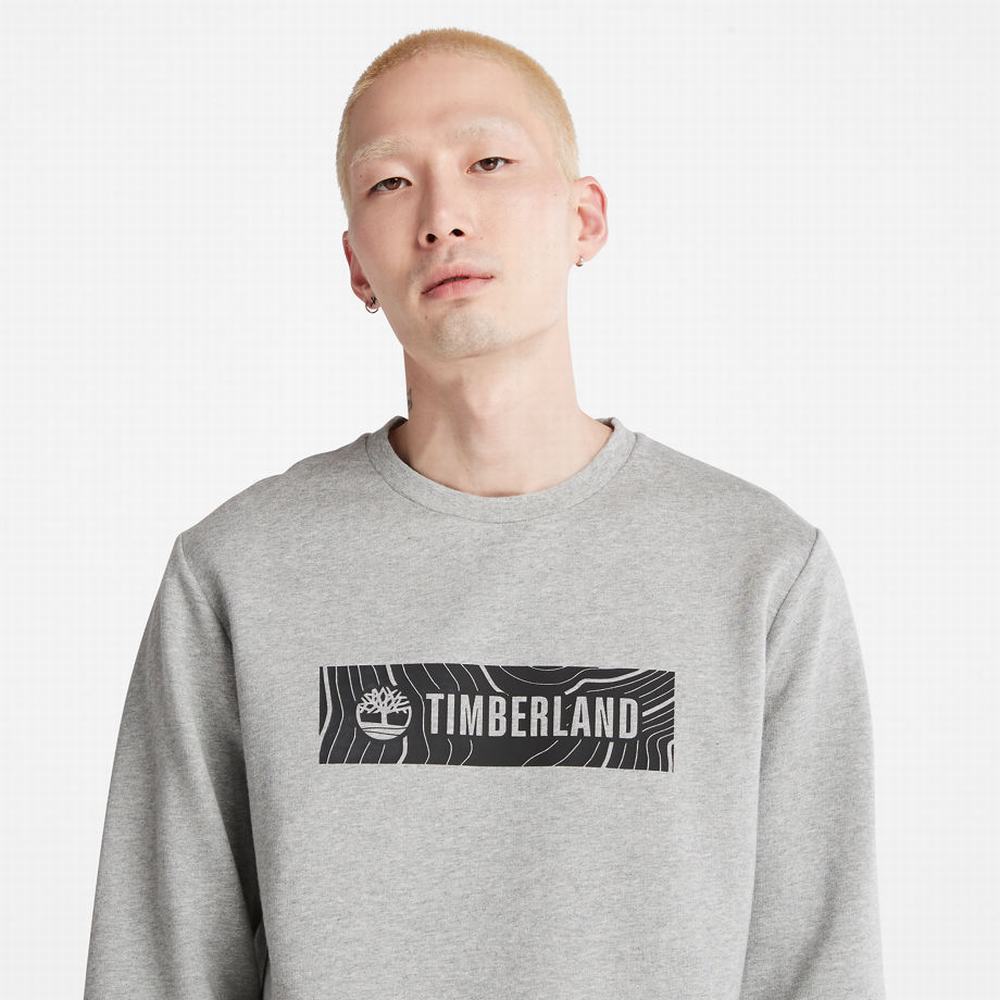 Timberland Oyster River Logo Tişörtü Erkek Gri | TR-9362N