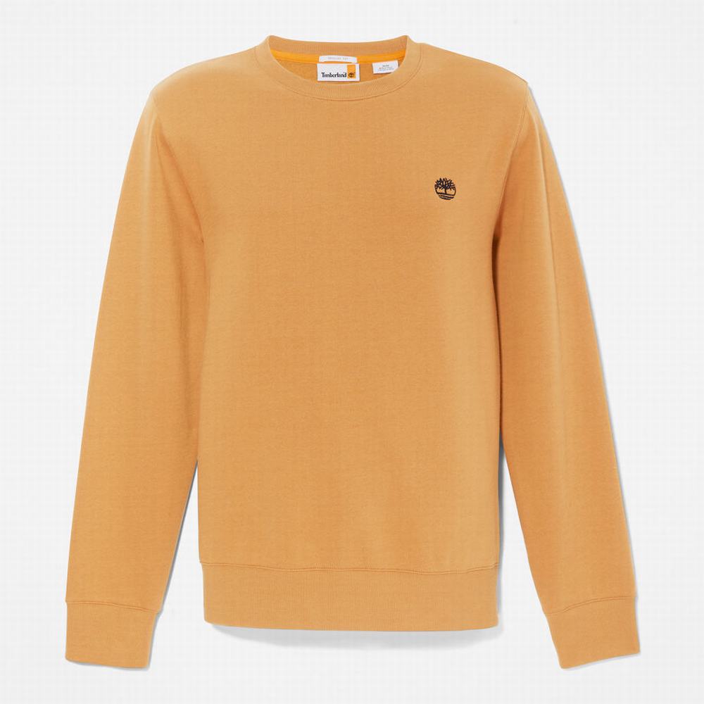 Timberland Oyster River Tişörtü Erkek Sarı | TR-8014G