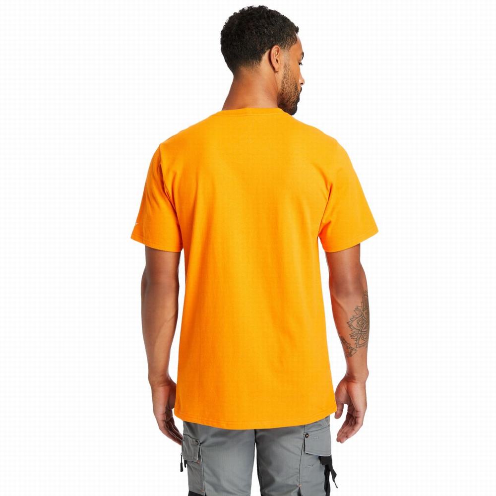 Timberland PRO® Base Plate Blended Kısa-Sleeve Tişört Erkek Turuncu | TR-4598T