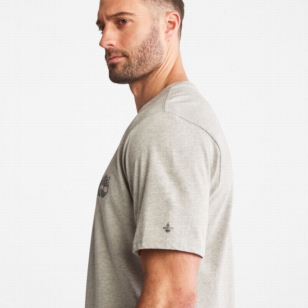 Timberland PRO® Base Plate Kısa-Sleeve Logo Tişört Erkek Açık Gri | TR-2074N