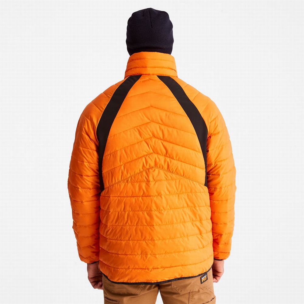 Timberland PRO® Frostwall Insulated Ceket Erkek Turuncu | TR-2810C