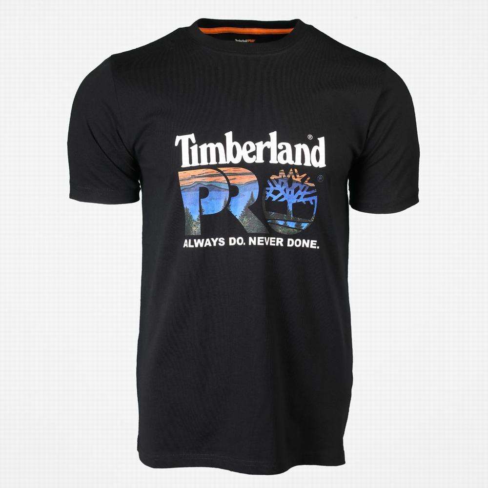 Timberland PRO® Pamuklu Core Logo Tişört Erkek Siyah Renkli | TR-1560G