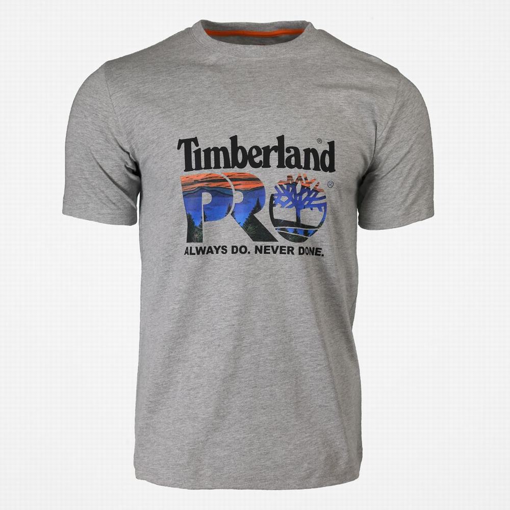 Timberland PRO® Pamuklu Core Logo Tişört Erkek Açık Gri Renkli | TR-9316H