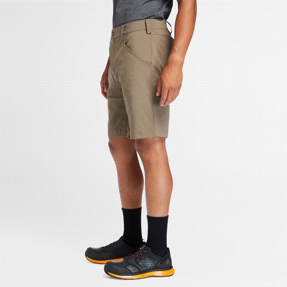 Timberland PRO® Tempe Şort Erkek Bison PRO | TR-9172Z