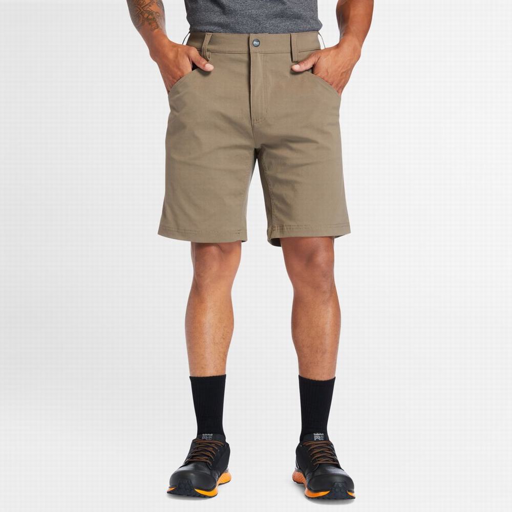 Timberland PRO® Tempe Şort Erkek Bison PRO | TR-9172Z