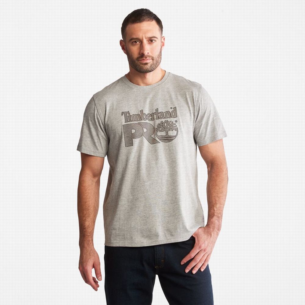 Timberland PRO® Textured Graphic Kısa-Sleeve Tişört Erkek Açık Gri | TR-6705Z