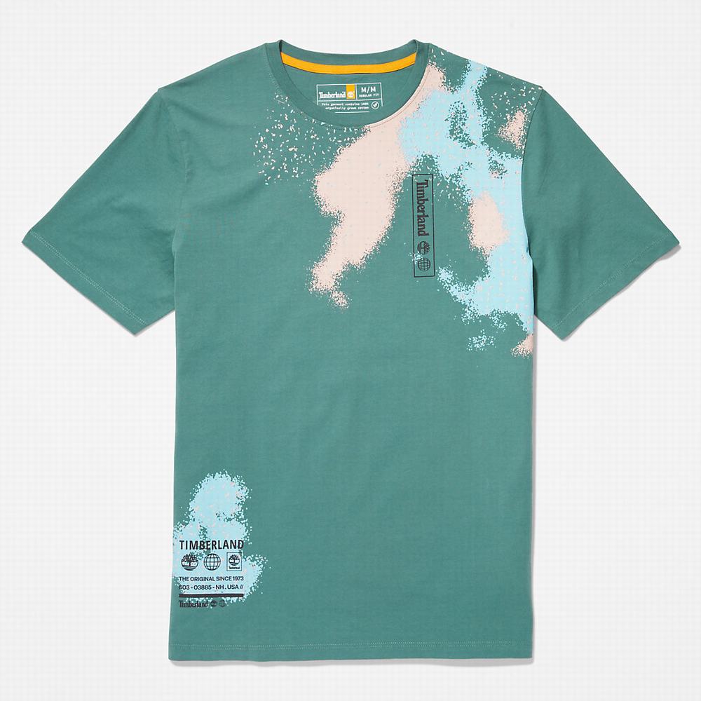 Timberland Paint Graphic Tişört Erkek Turkuaz | TR-8320N