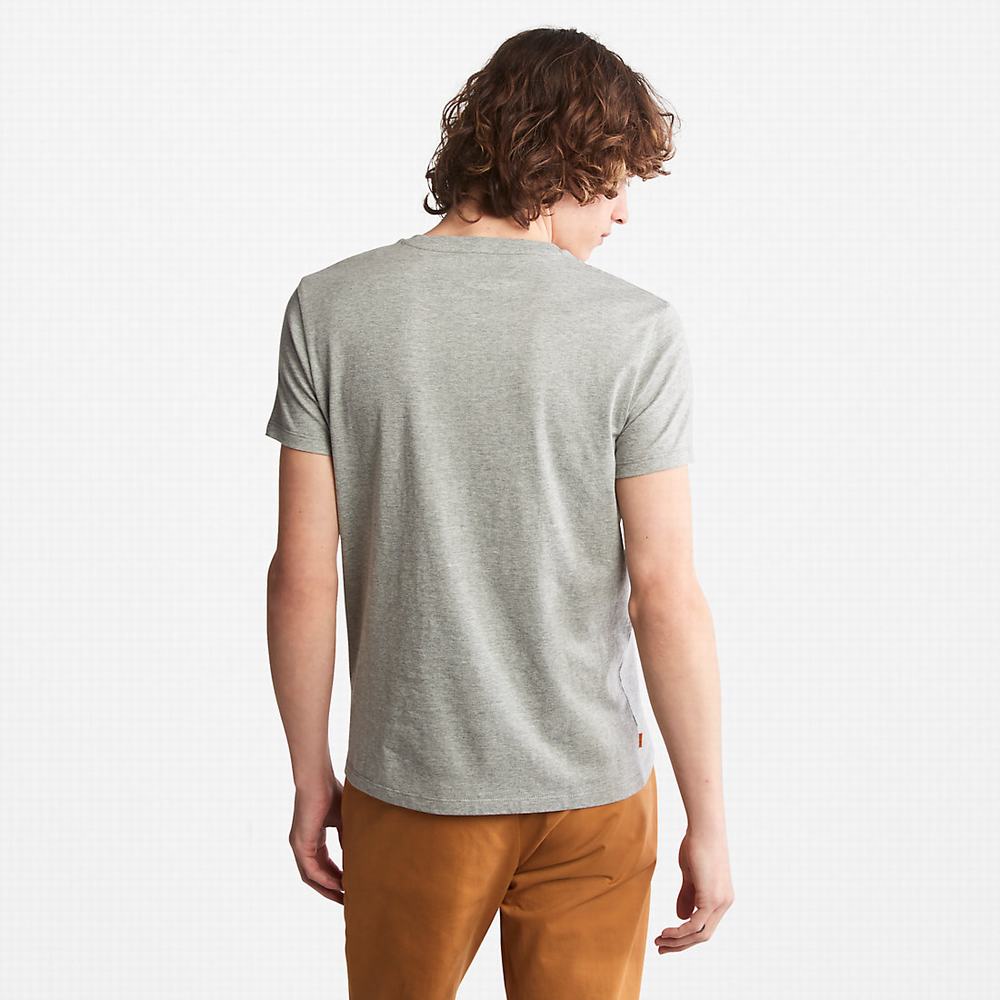 Timberland Pamuklu Logo Tişört Erkek Gri | TR-6501W
