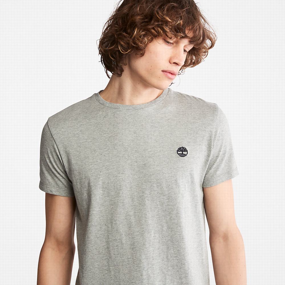 Timberland Pamuklu Logo Tişört Erkek Gri | TR-6501W