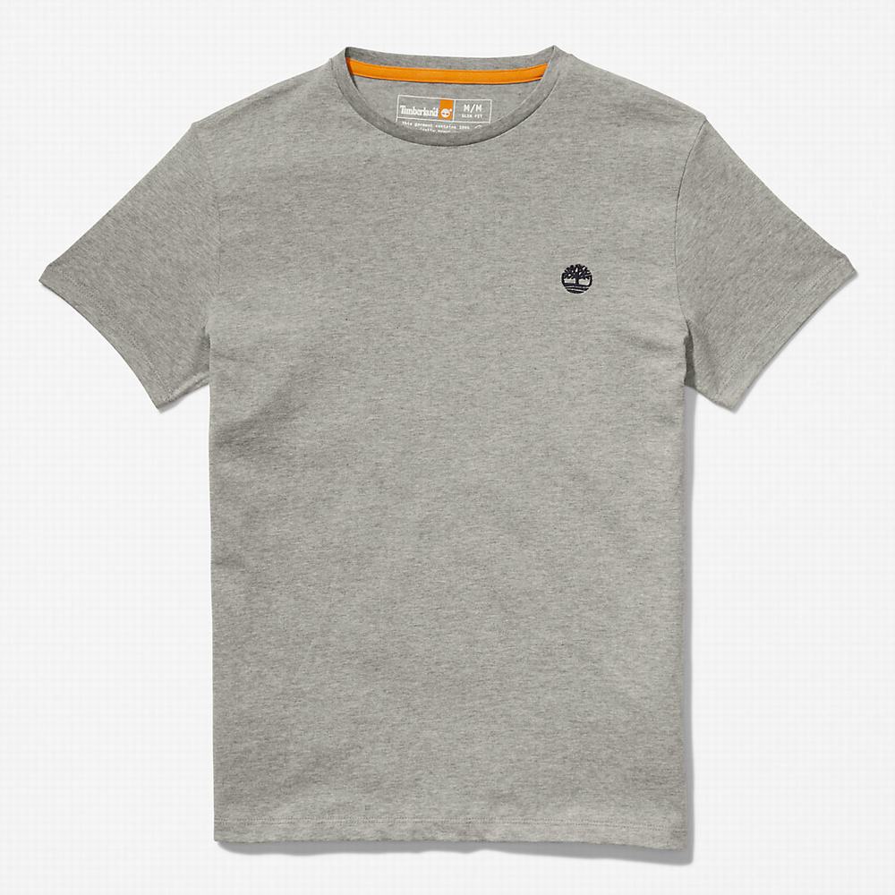 Timberland Pamuklu Logo Tişört Erkek Gri | TR-6501W