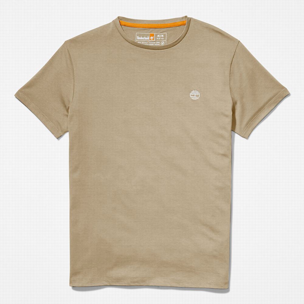 Timberland Pamuklu Logo Tişört Erkek Yeşil | TR-6374E