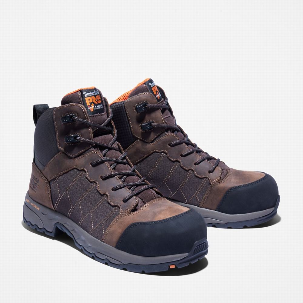 Timberland Payload 6