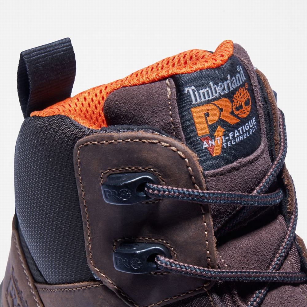 Timberland Payload 6