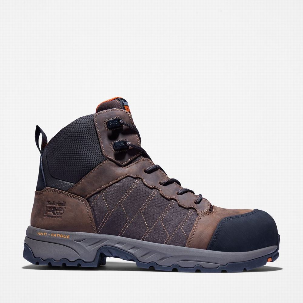 Timberland Payload 6\