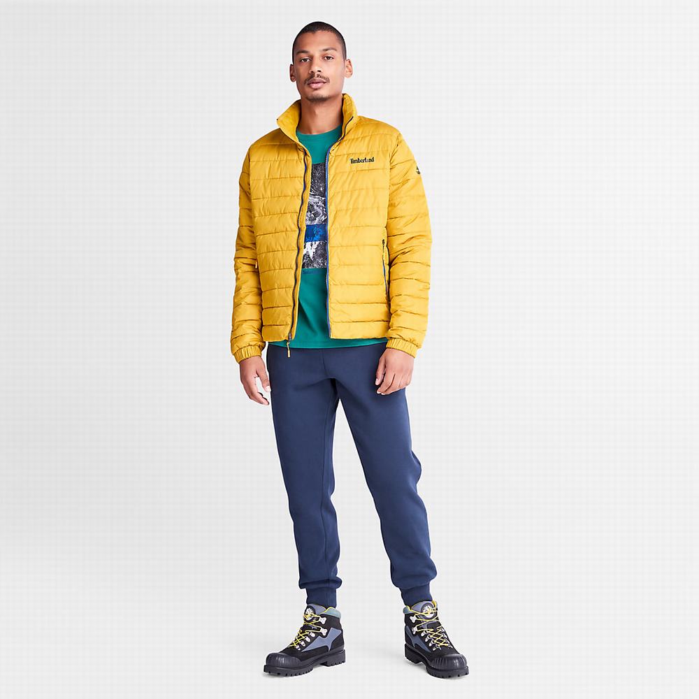 Timberland Photographic Print LS Tişört Erkek Yeşil | TR-6459F