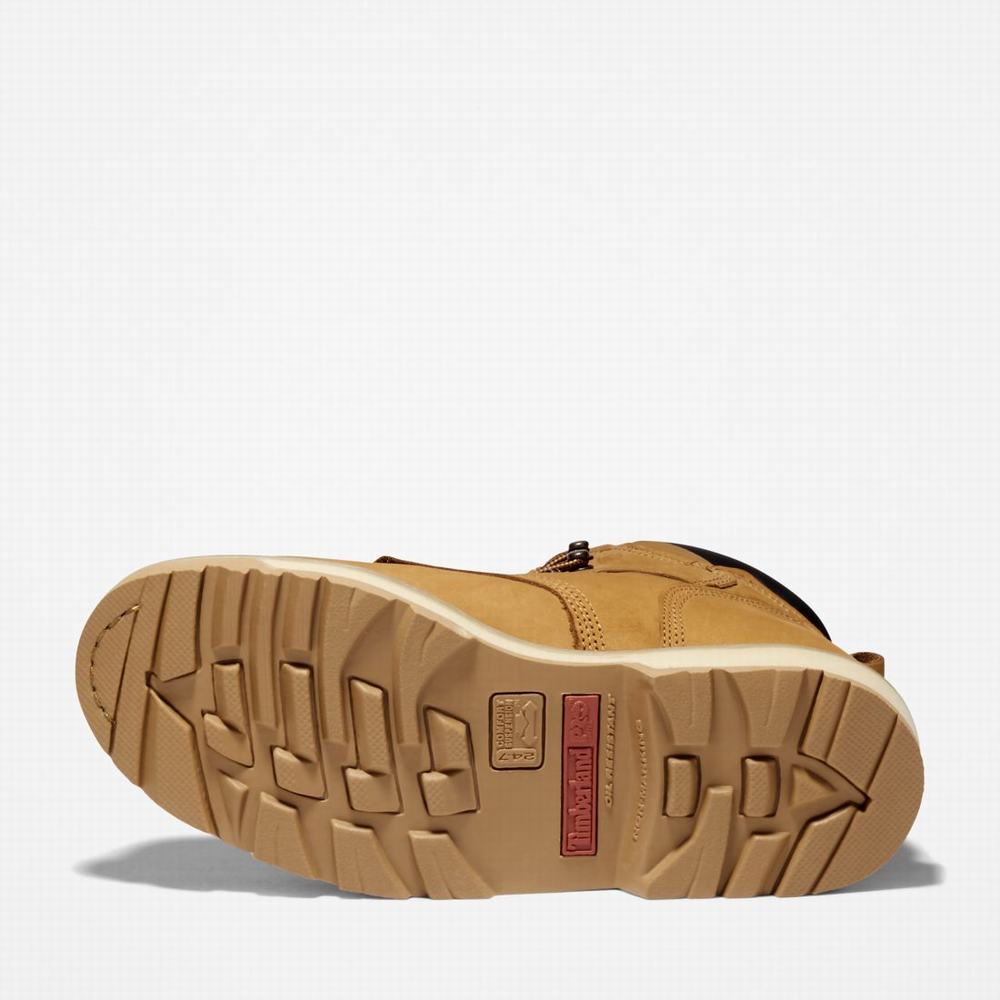 Timberland Pit Boss 6