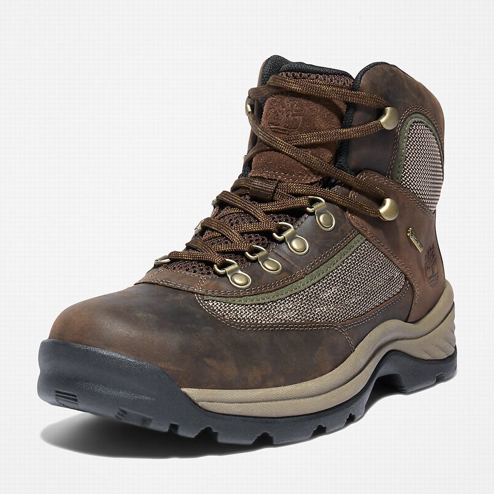 Timberland Plymouth Gore-Tex® Yürüyüş Hiker Yürüyüş Botu Erkek Kahverengi | TR-4071Y