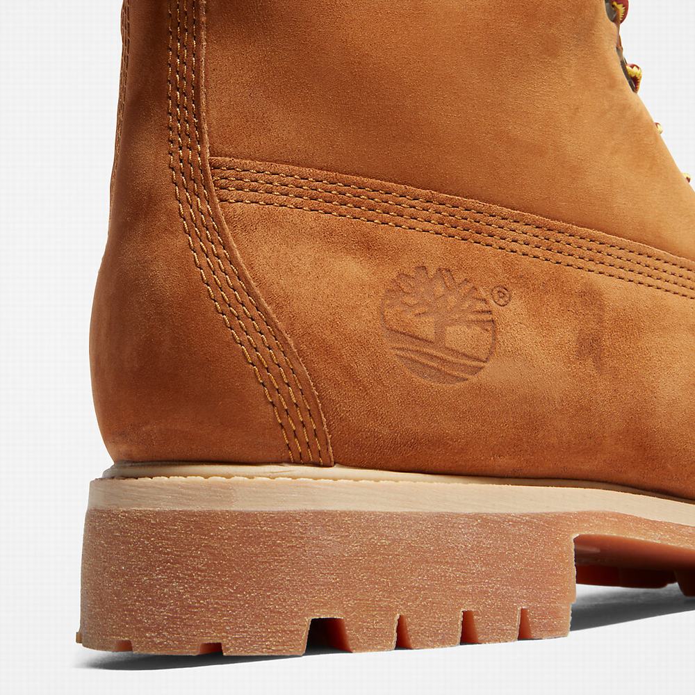 Timberland Premium 6 Inch Bot Erkek Kahverengi | TR-4869D