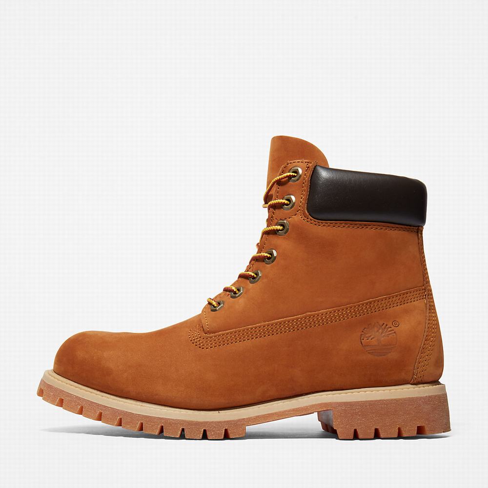 Timberland Premium 6 Inch Bot Erkek Kahverengi | TR-4869D