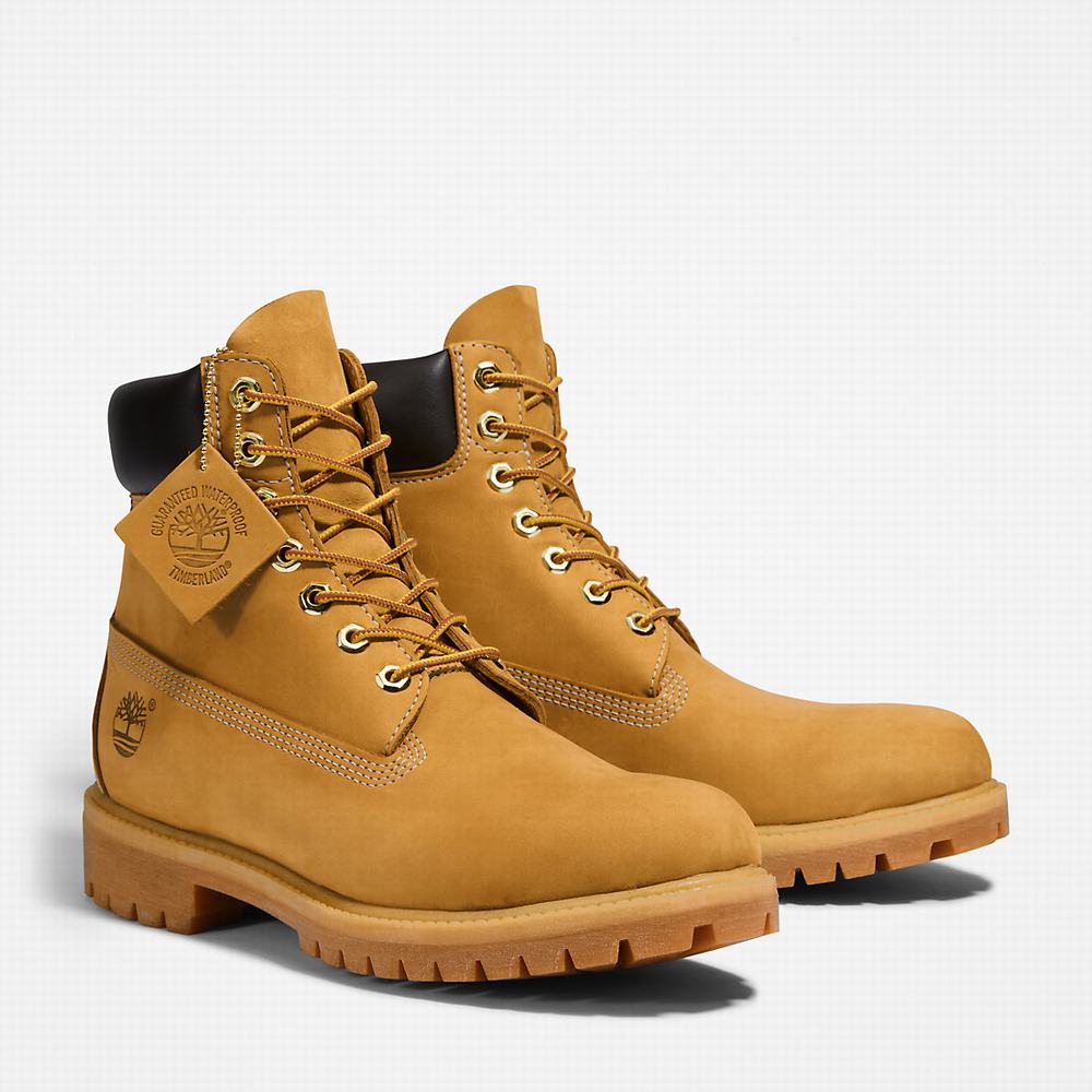 Timberland Premium 6 Inch Bot Erkek Sarı | TR-5841P