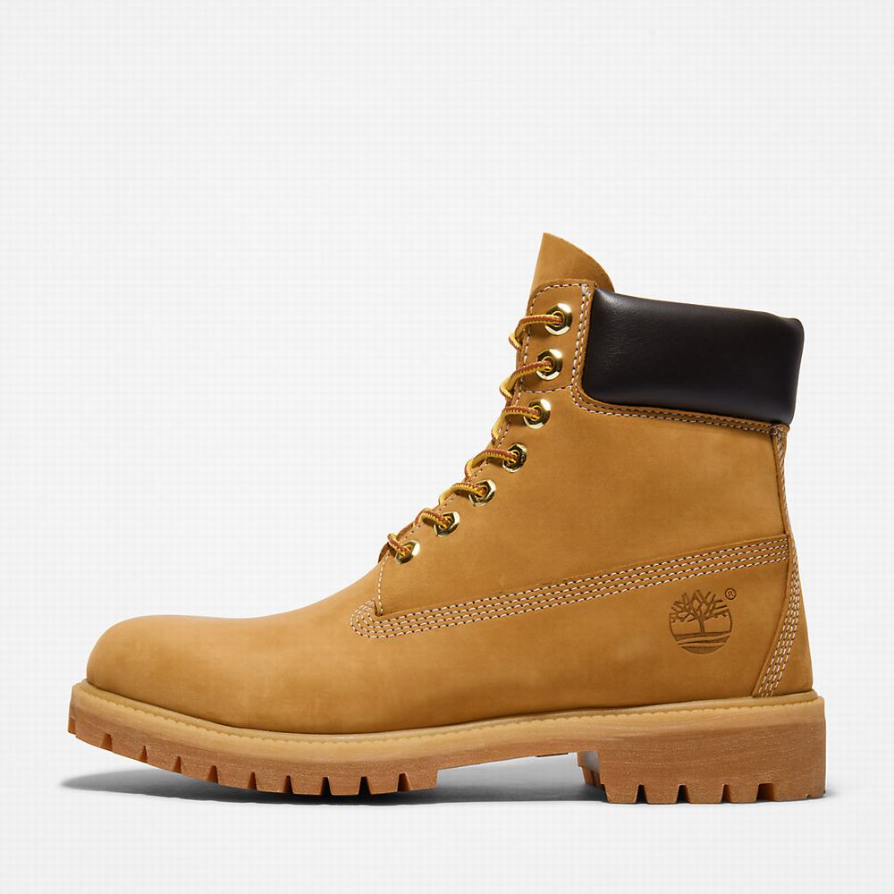 Timberland Premium 6 Inch Bot Erkek Sarı | TR-5841P