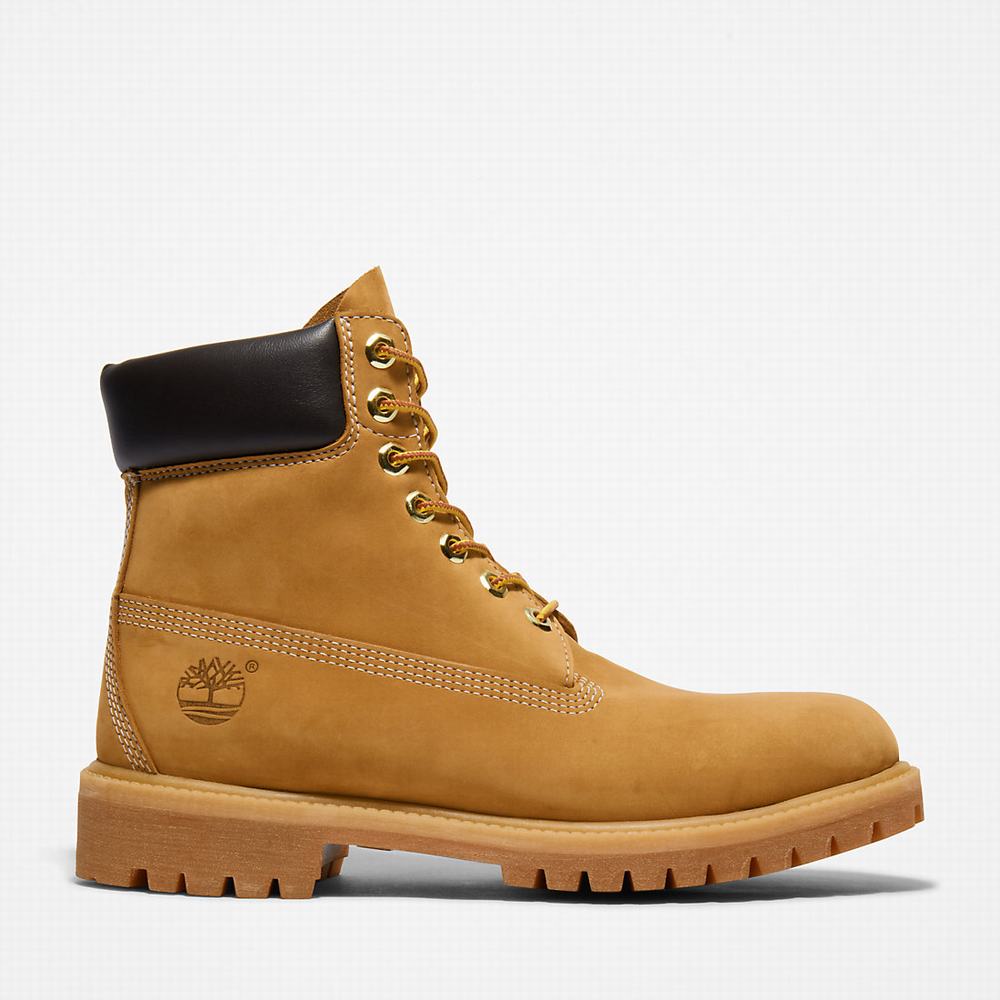 Timberland Premium 6 Inch Bot Erkek Sarı | TR-5841P