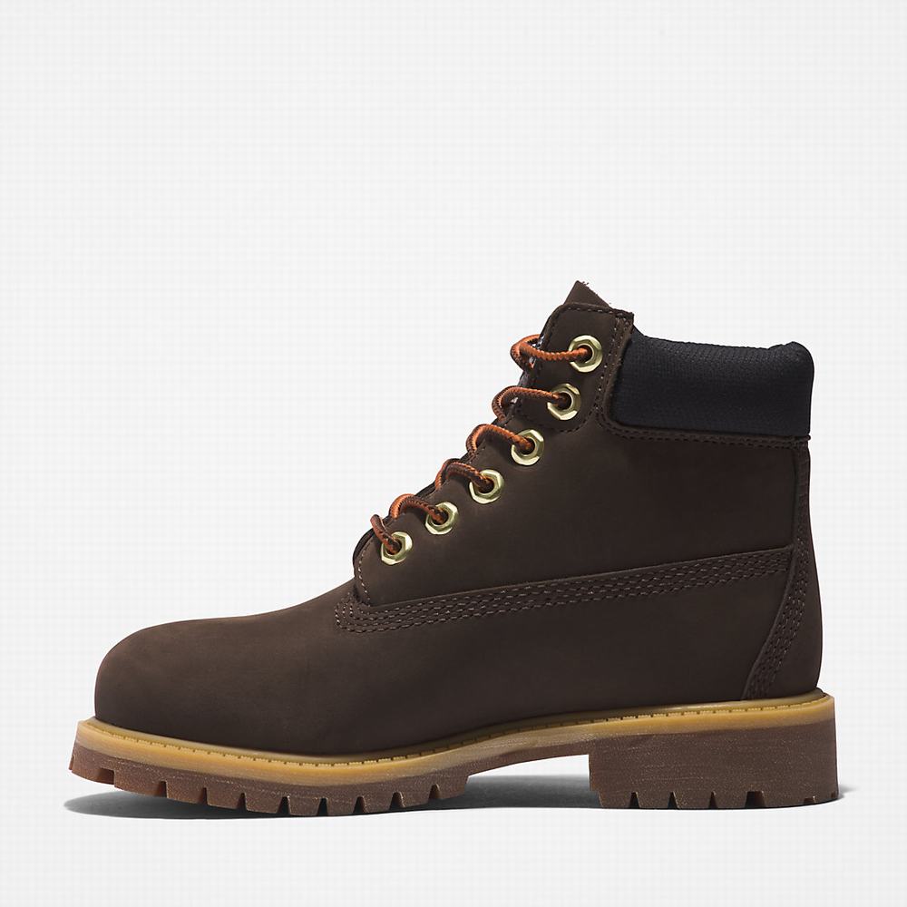 Timberland Premium 6 Inch Bot Çocuk Koyu Kahverengi | TR-7012J