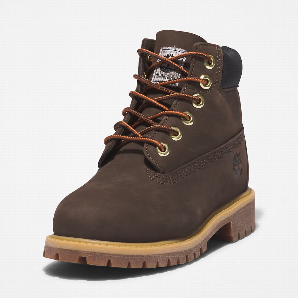 Timberland Premium 6 Inch Bot Çocuk Koyu Kahverengi | TR-7012J