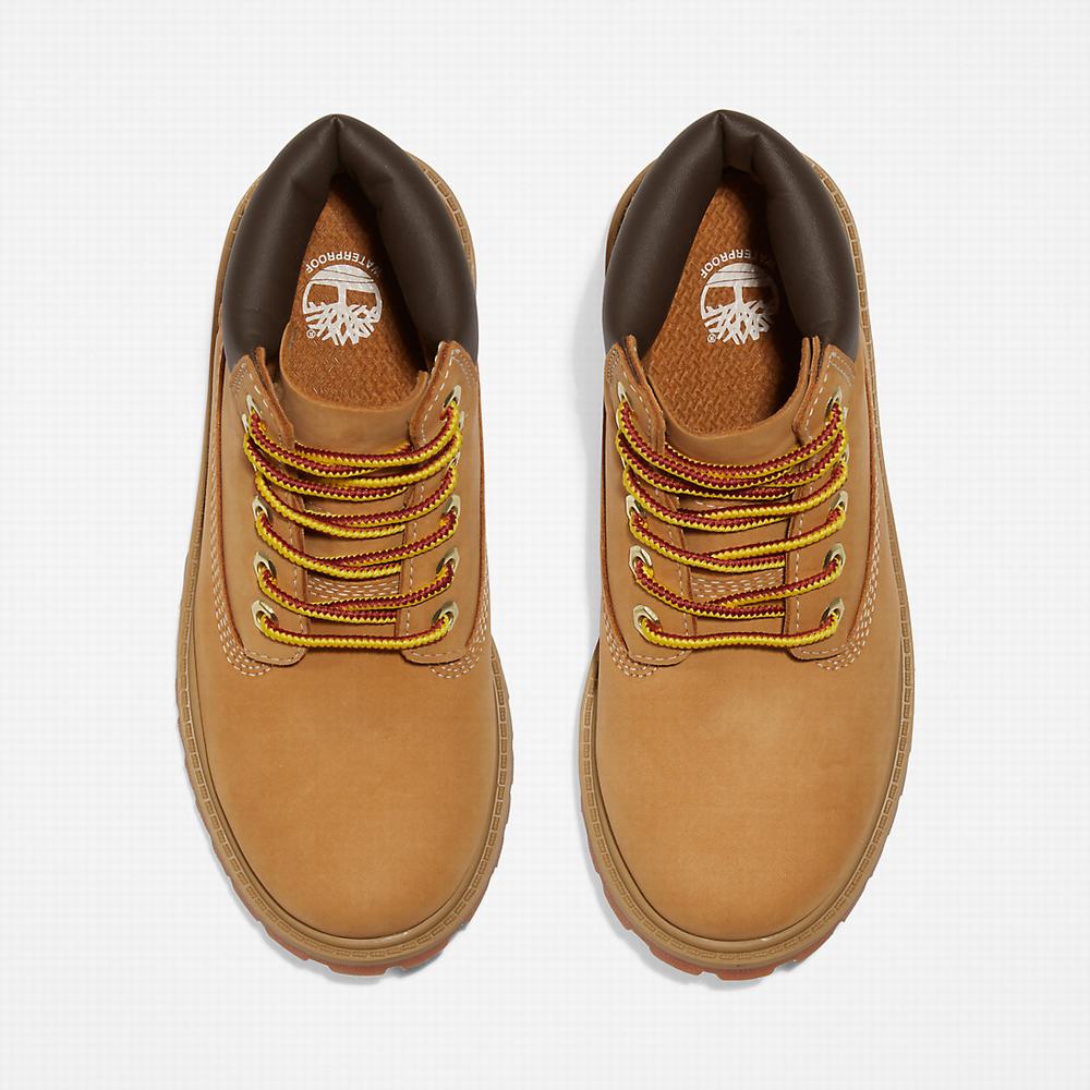 Timberland Premium 6 Inch Bot Çocuk Sarı | TR-4718E