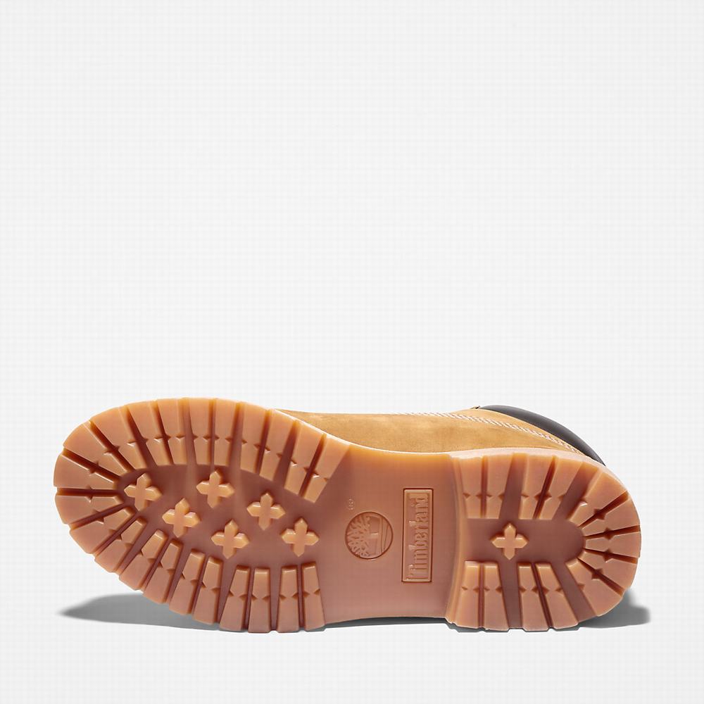 Timberland Premium 6-Inch Waterproof Bot Kadın Kahverengi | TR-0953X
