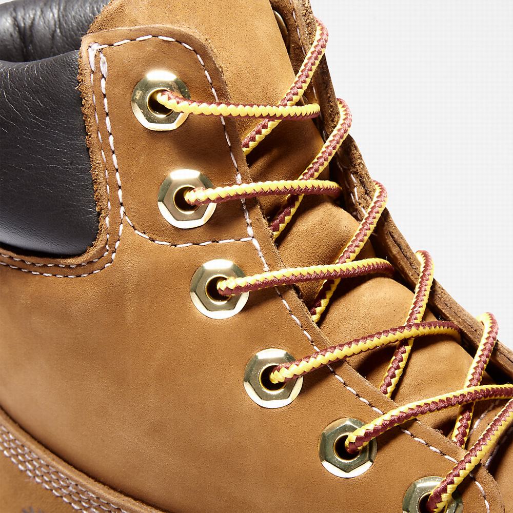 Timberland Premium 6-Inch Waterproof Bot Kadın Kahverengi | TR-0953X
