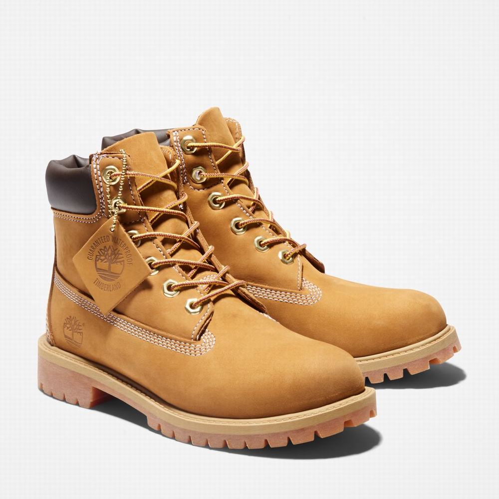Timberland Premium 6-Inch Waterproof Bot Çocuk Kahverengi Sarı | TR-4893A