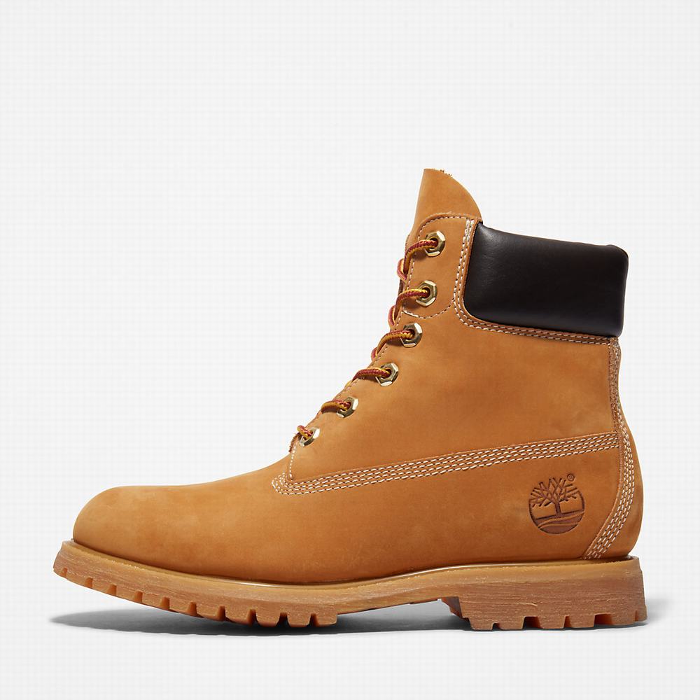Timberland Premium 6-Inch Waterproof Bot Kadın Sarı | TR-6789C
