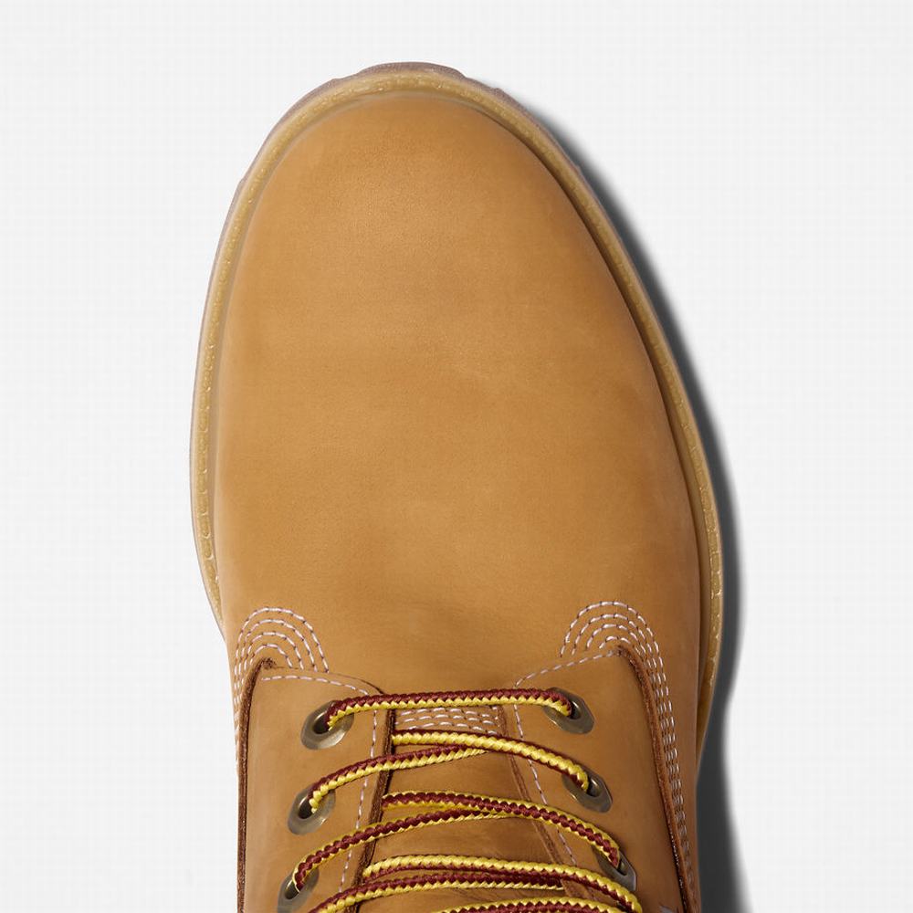 Timberland Premium Logo 6 Inch Bot Erkek Sarı | TR-8724L