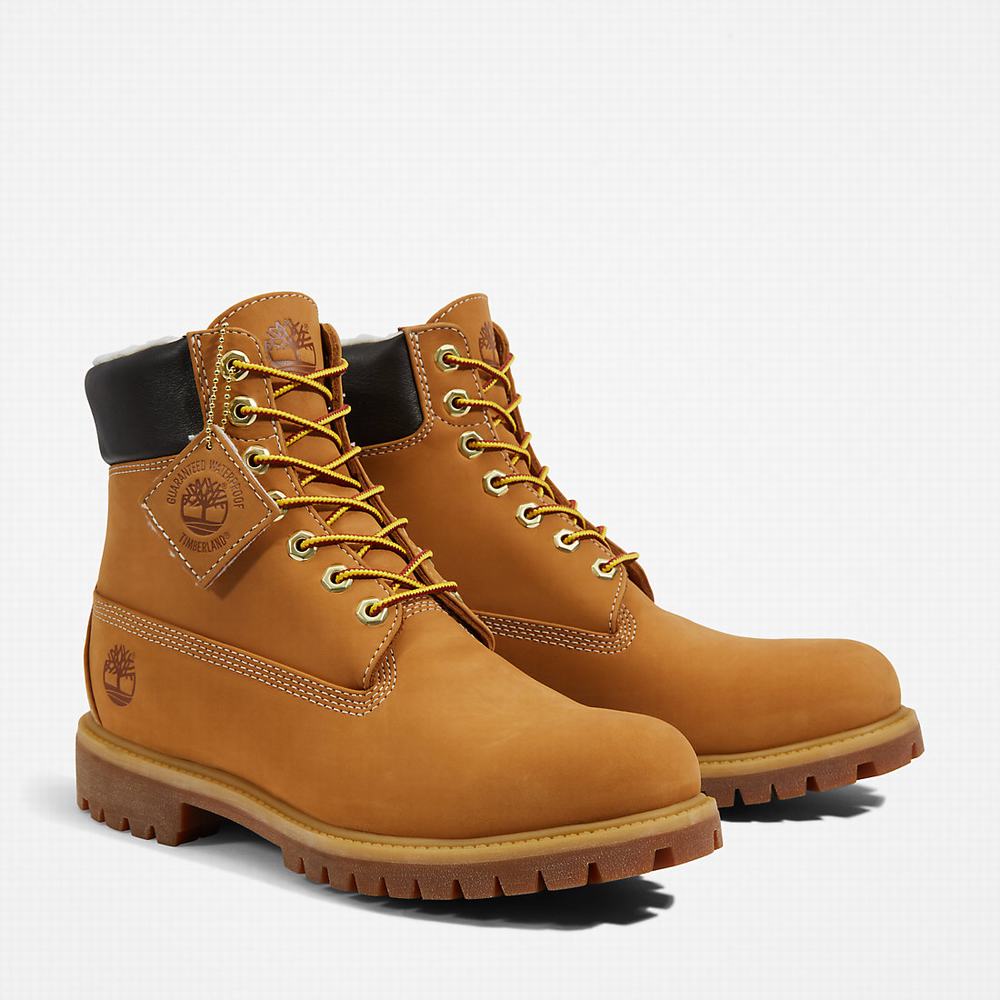 Timberland Premium Warm-lined 6 Inch Kışlık Bot Erkek Sarı | TR-9461X